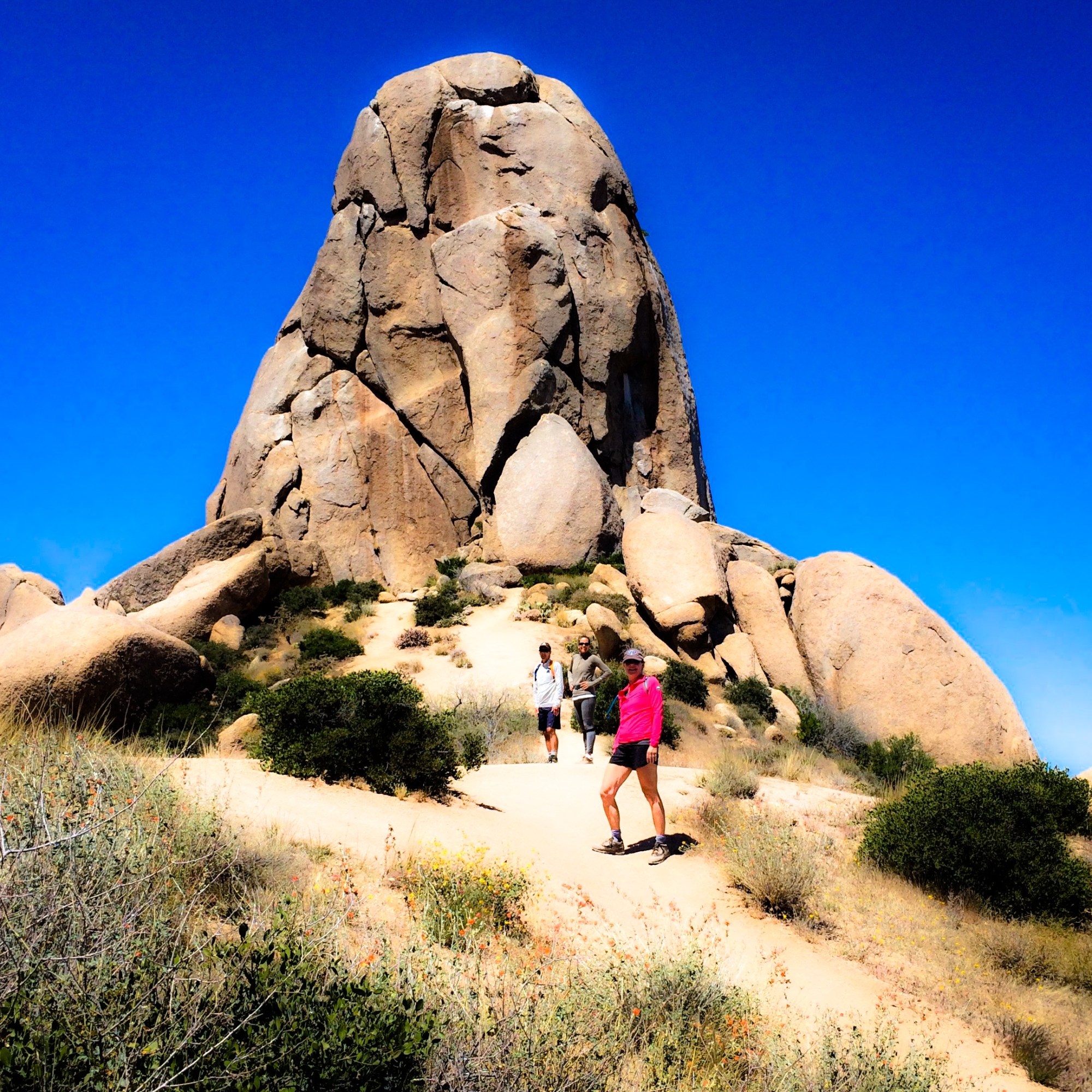 Tom's Thumb Trailhead Scottsdale Arizona